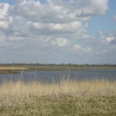 Oostvaardersplassen